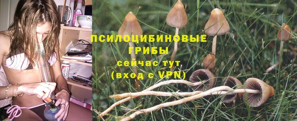 твердый Балабаново
