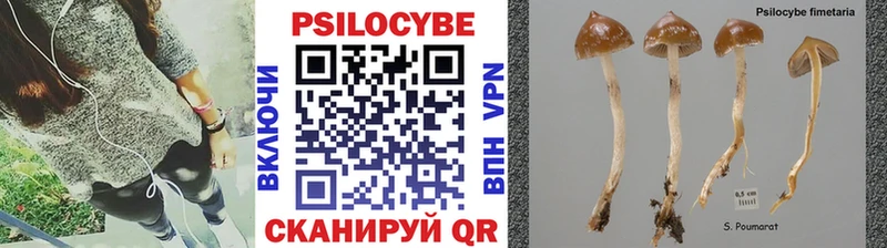 цена наркотик  Обь  Галлюциногенные грибы прущие грибы 