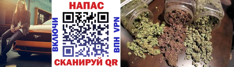 Бошки Шишки AK-47  Обь 